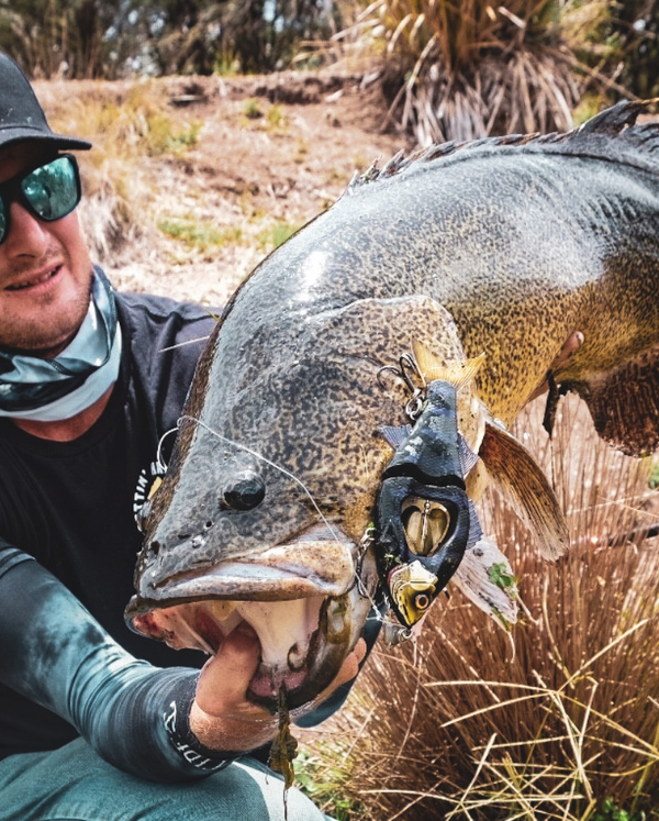 Freshwater Cod Bi-Monthly Box