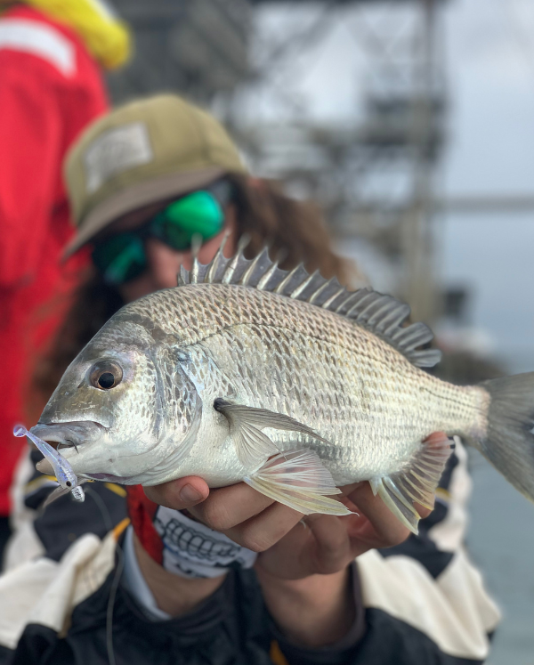 Saltwater Estuary Gift Box