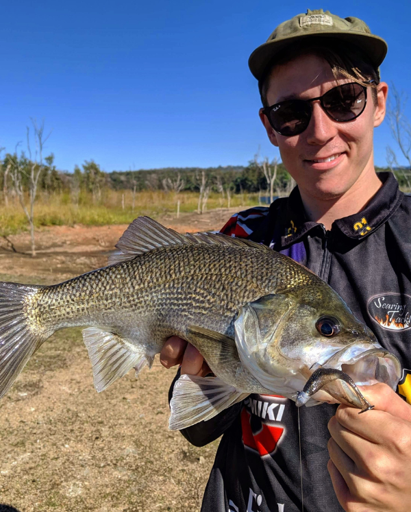 Freshwater Bass & Yellas One Off Box