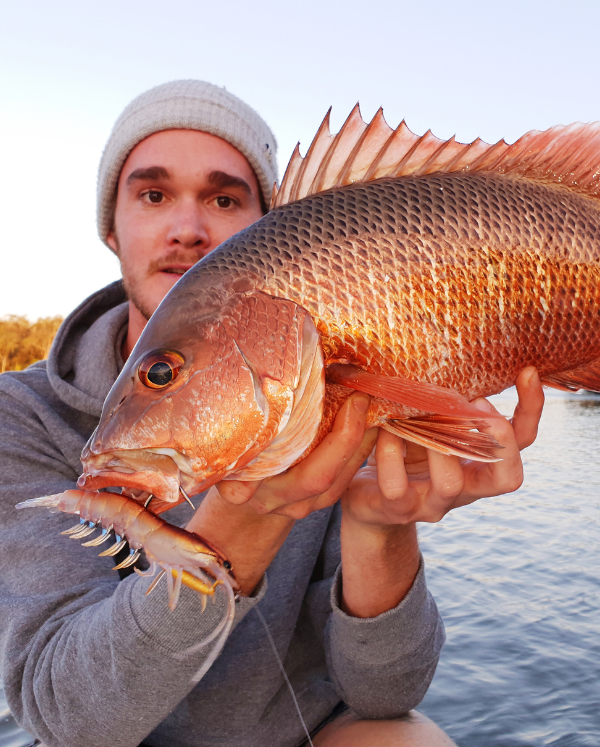Saltwater Barra & Jacks Monthly Box