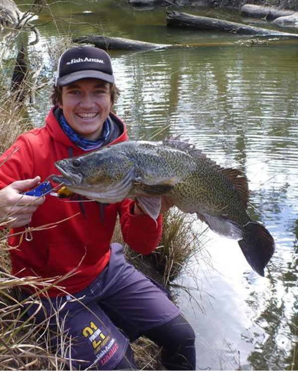 Freshwater Cod One Off Box