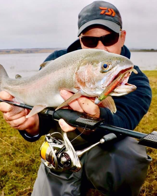 Freshwater Trout & Redfin One Off Box