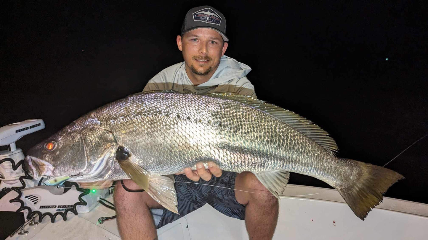 GIANT MULLOWAY BOX