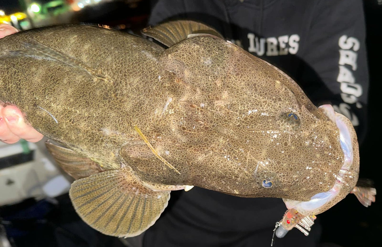 Giant Murray Cod One Off Box