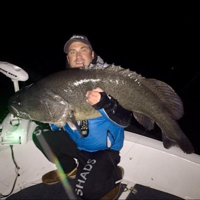 Giant Murray Cod One Off Box