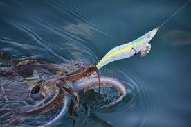 SQUID JIG one off box