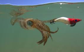 SQUID JIG one off box