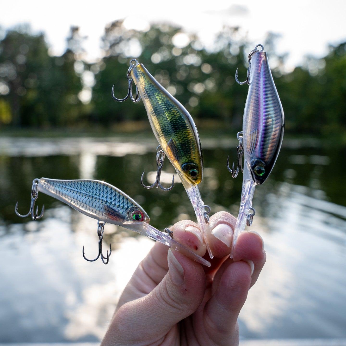 Carl's Autumn Bass Box