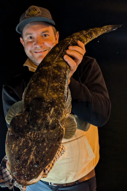 Giant Flathead One Off Box